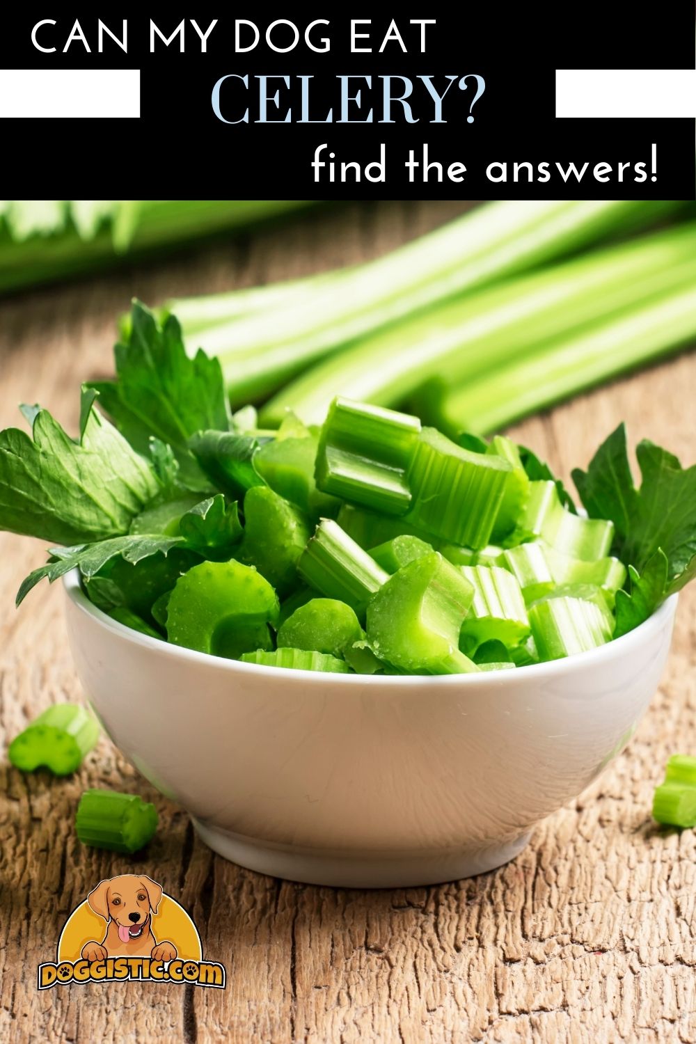 Image showing celery with text for can my dog eat celery.