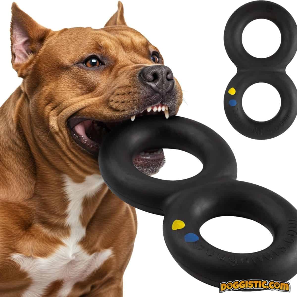 GoughNuts MAXX 50 Ring Dog Toy