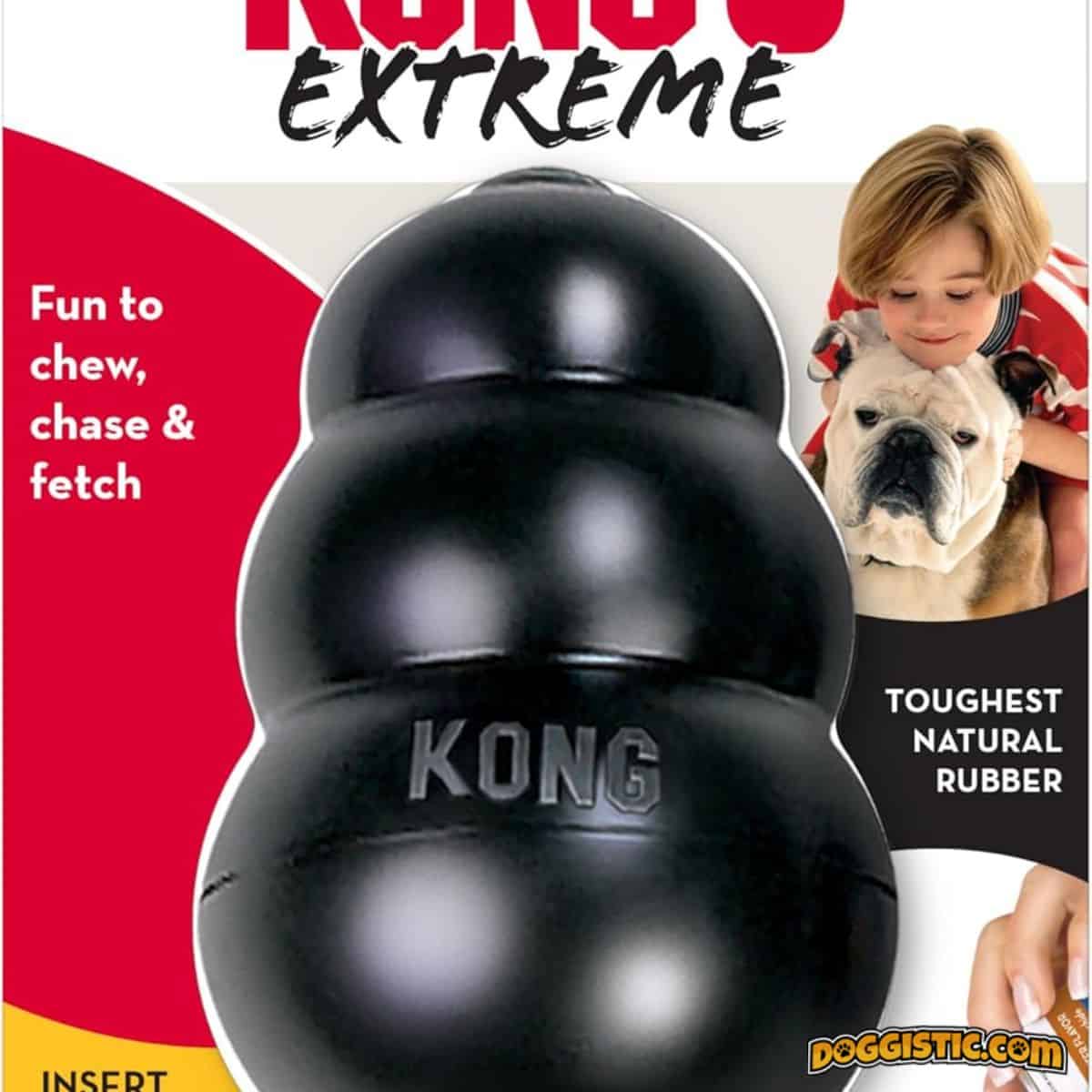 KONG Extreme dog toy
