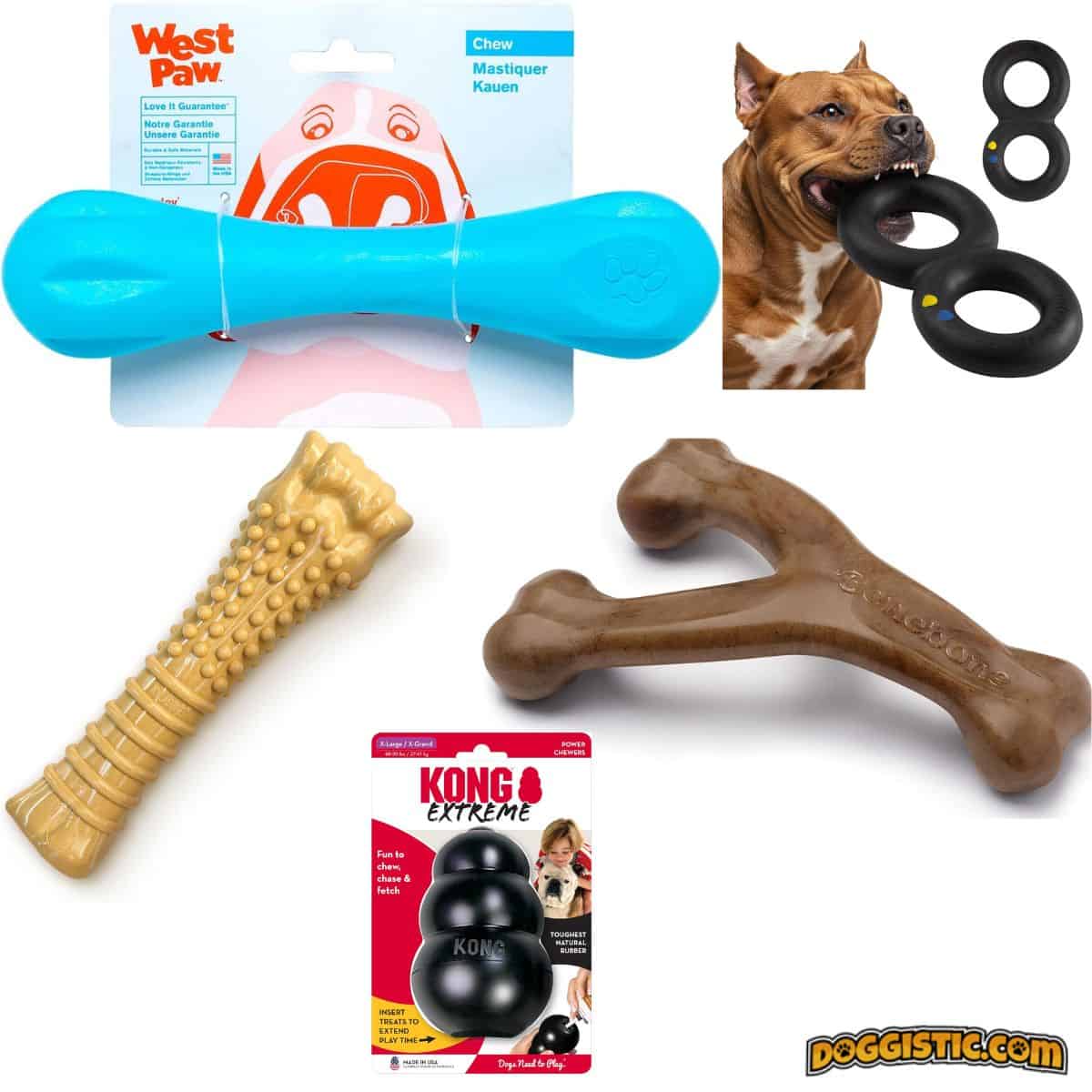 Top 5 Indestructible Dog Toys