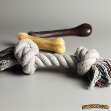 Top 5 Indestructible Dog Toys