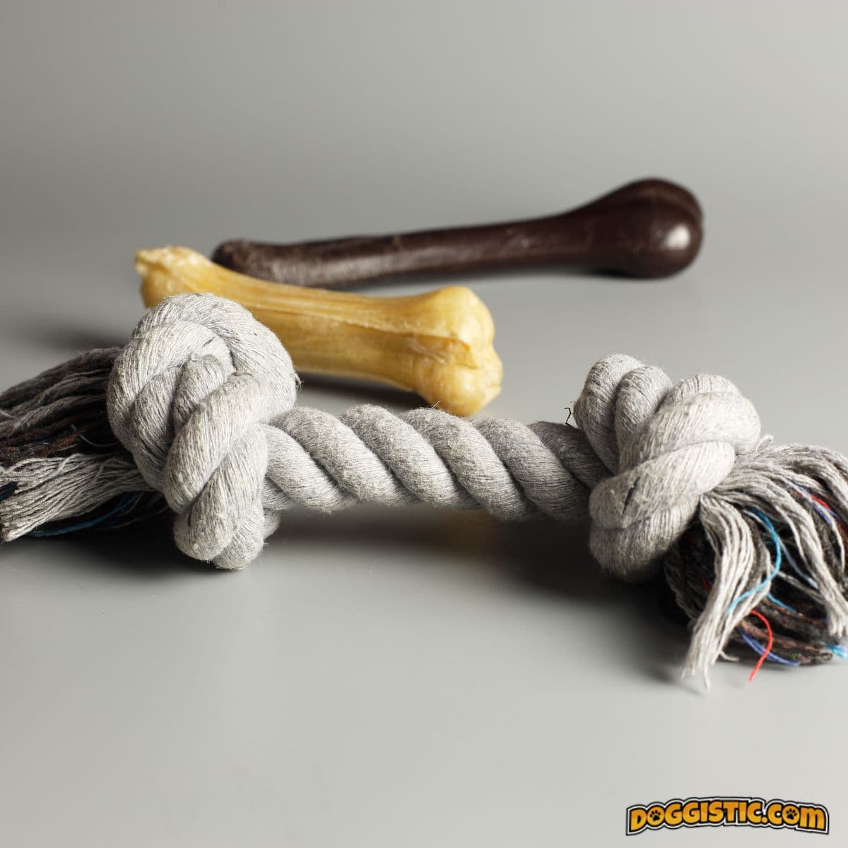 Top 5 Indestructible Dog Toys