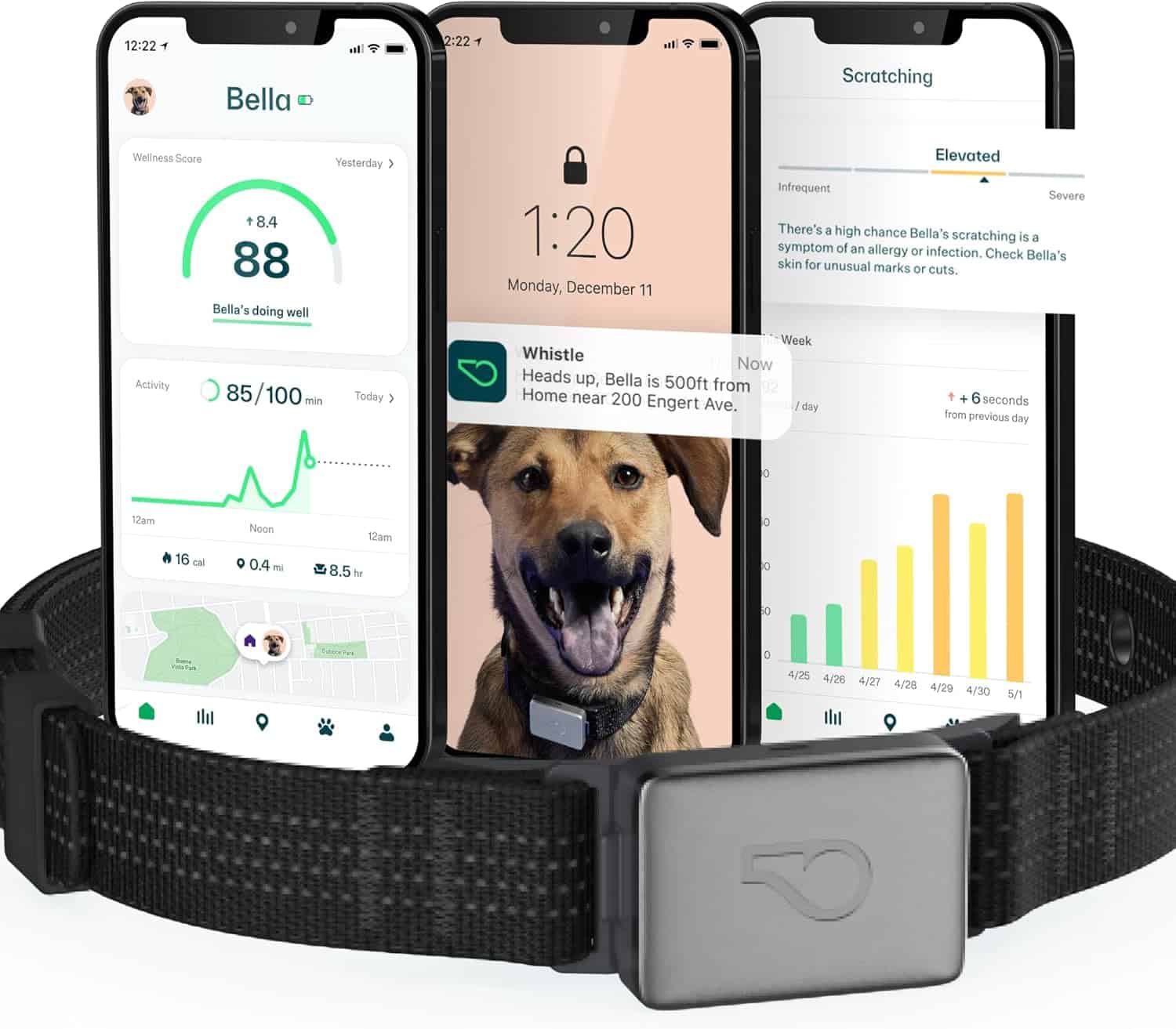 Whistle Health & GPS+